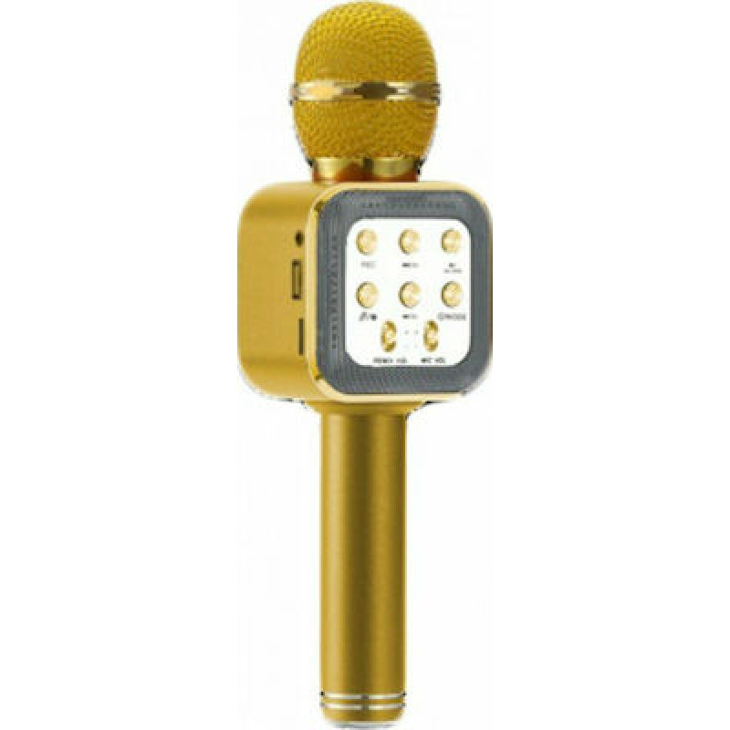 Ασύρματο Μικρόφωνο Karaoke WSTER  WS-1818 Χρυσό