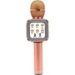 Ασύρματο Μικρόφωνο Karaoke WSTER  WS-1818 Χρυσό-Ροζ